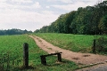 Park Blick nach Süden© MDM