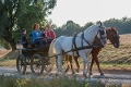 Kutschfahrt (bei Querfurt)© DCM / Andreas Schlieter