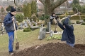 Heilbad Heiligenstadt, Städtischer Friedhof© ostlicht filmproduktion / Chouchkov Brothers, Ltd.