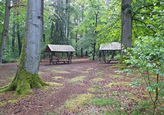 Rastplatz Jagdanlage Rieseneck