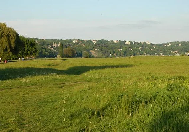 Elbwiesen Blasewitz, Blick nach Loschwitz
