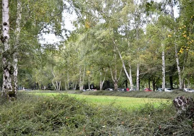 Clara-Zetkin-Park, Birkenoval bei der AOK
