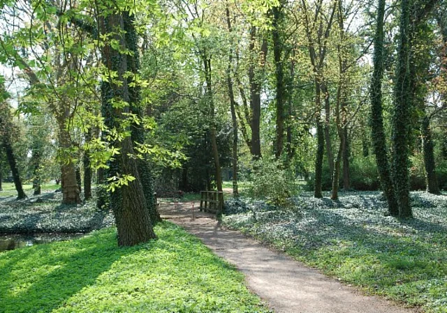 Schloss Ostrau, Schlosspark