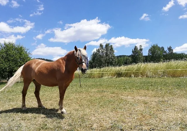 Standort Eubabrunn, Koppel