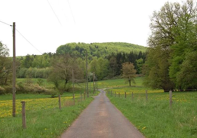 Straße von Sülzfeld nach Amalienruh