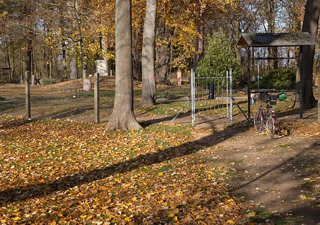 Friedhof