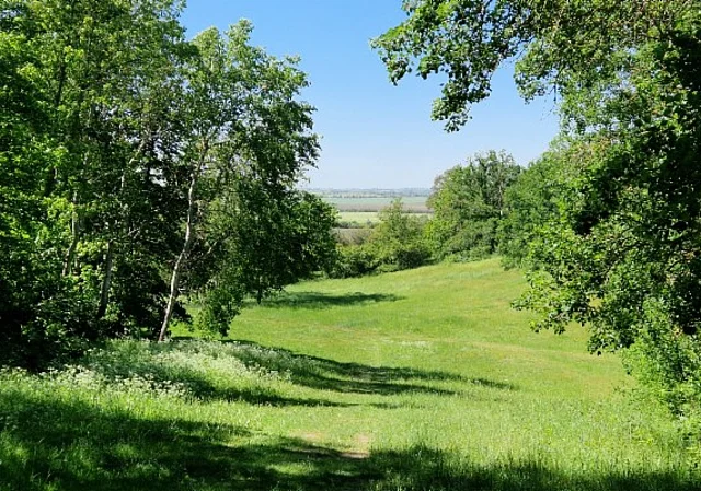 Untere Jahnwiese