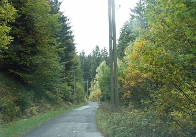 Straße zur Talsperre Neustadt