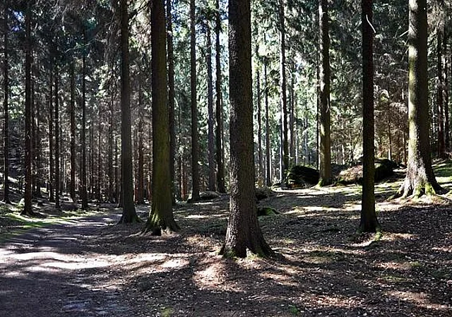 Richters Grund, Wanderweg