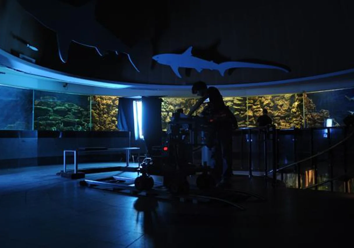 Aquarium im Zoo Leipzig