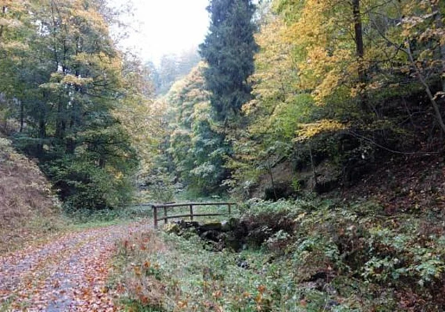Steinmühlental