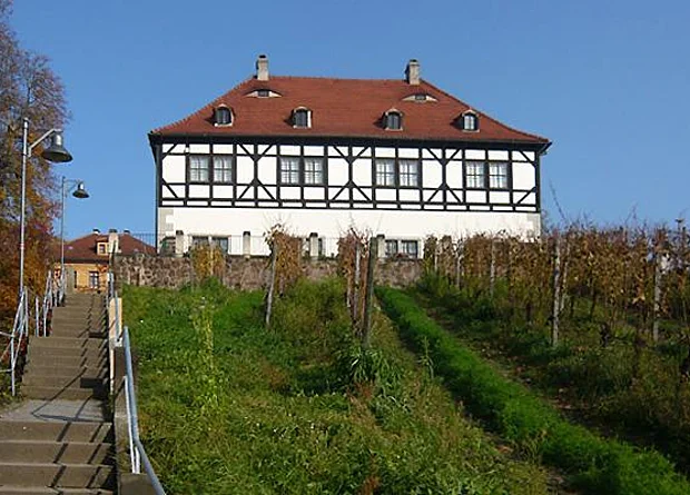 Weingut Hoflössnitz 