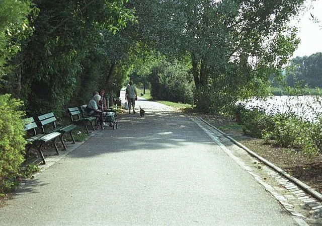 Silbersee; Bänke, Nordufer