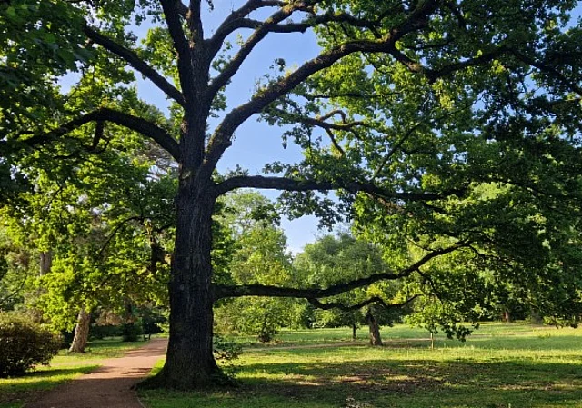 Gimritzer Park