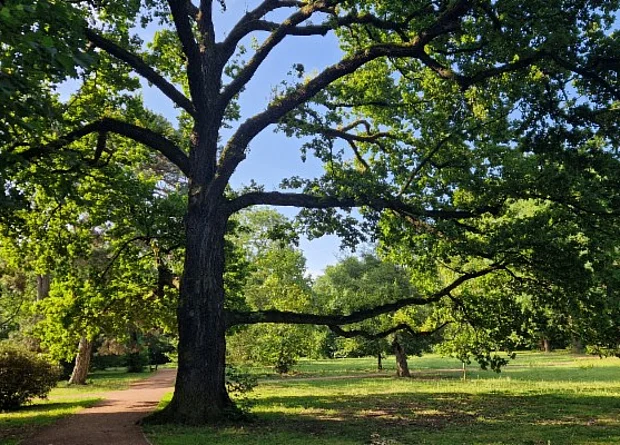 Gimritzer Park 