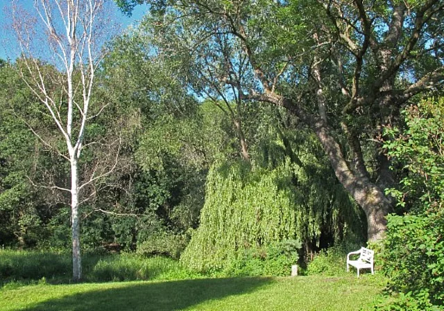 Burg Liebenau, Park