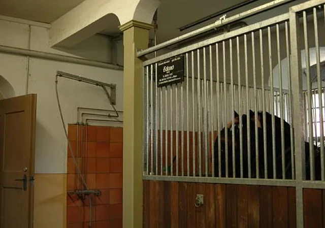 Stallungen