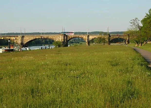 Elbwiesen Johannstadt, Albertbrücke 
