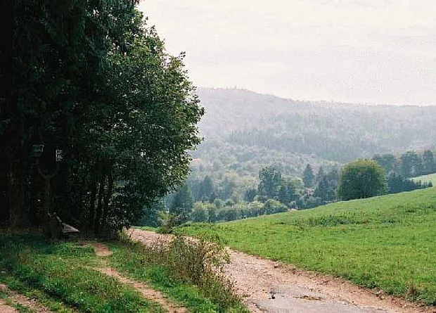 Park Blick nach Süden 