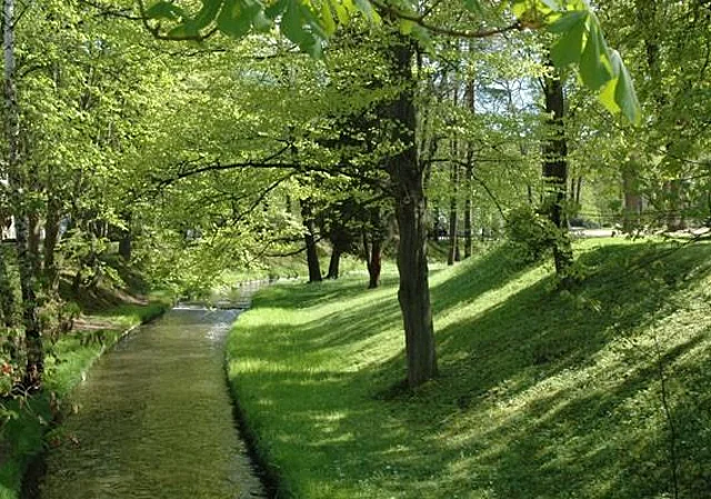 Flusslauf der Weißen Elster