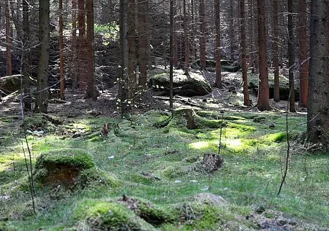 Richters Grund, Felsbrocken