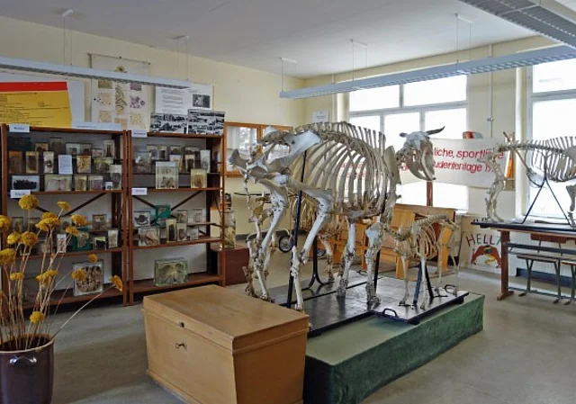 Veterinärmedizinische Sammlung