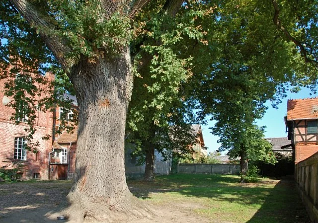 Rittergut Wittenmoor