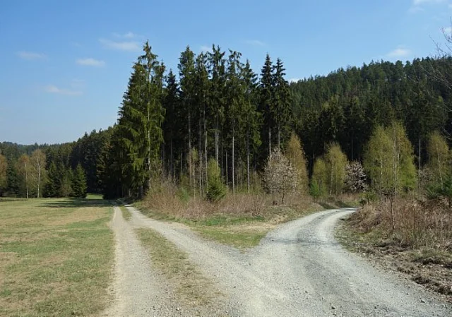 Weggabelung bei der Finnhütte