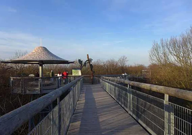 Baumkronenpfad