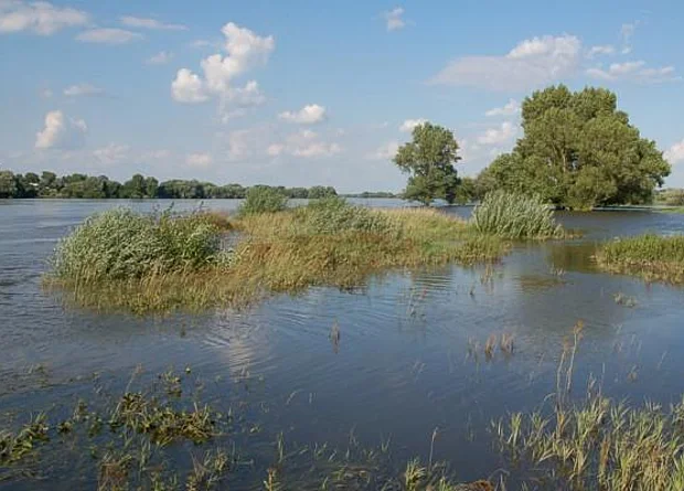 Elbe bei Schartau, nach Nordost 