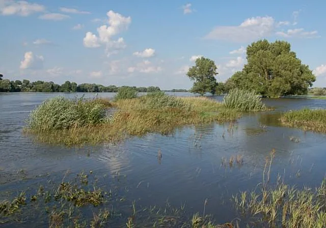 Elbe bei Schartau, nach Nordost