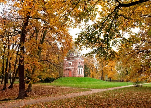 Schloss und Park Luisium, Schlangenhaus 