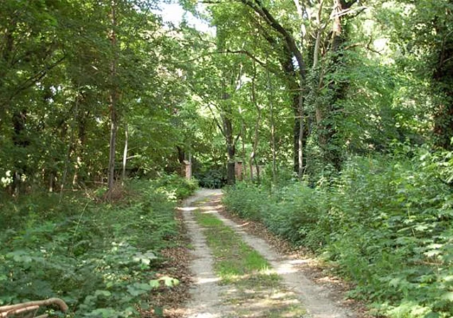 Zufahrt Mozartstraße nach Norden
