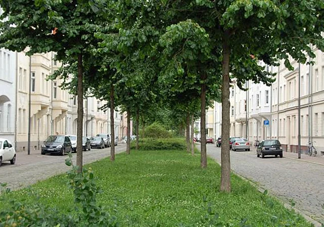 Mendelsohnstraße nach Westen