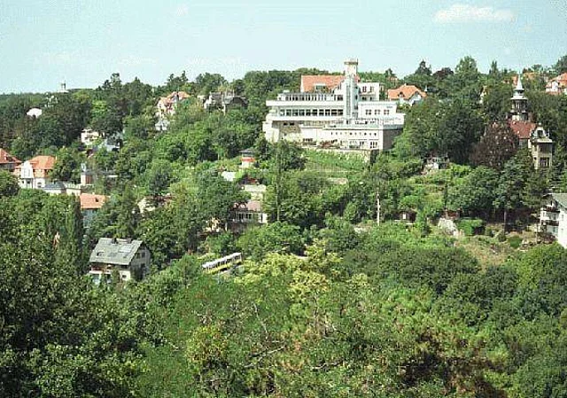 Blick über Loschwitz