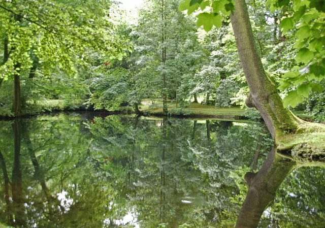 Schlosspark und Landschaftsgarten Ballenstedt