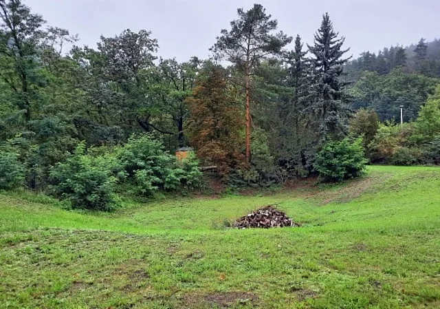 Wiese, ehemalige Arena
