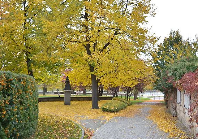 Parkweg zur Elbe