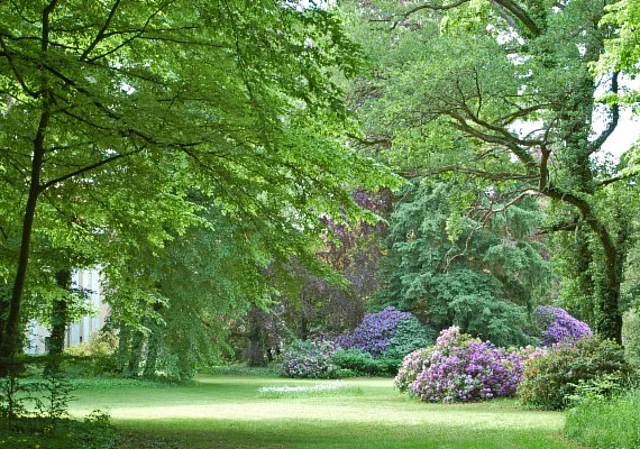 Schlosspark Tangerhütte, Landschaftsgarten