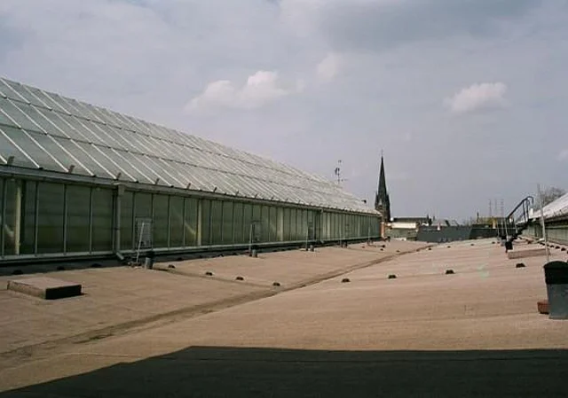 Blick übers Dach