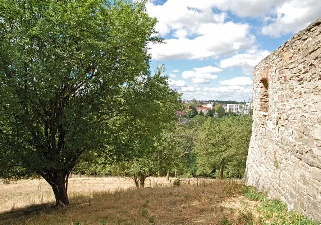 Kloster Posa, Obstwiesen