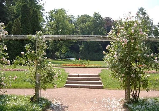 Blick vom Rosenspalier zur Wiese