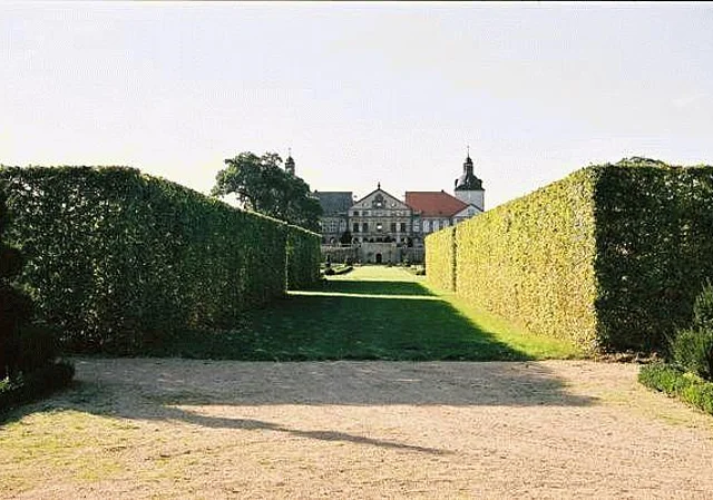 Blick vom Irrgarten Richtung Westen