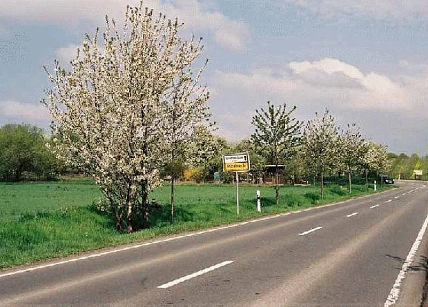 Straße Blick nach Nordwesten 