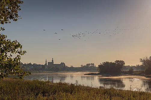 Elbe bei Coswig (Anhalt) Elbe bei Coswig (Anhalt)