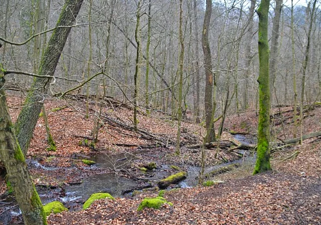 Bodetal