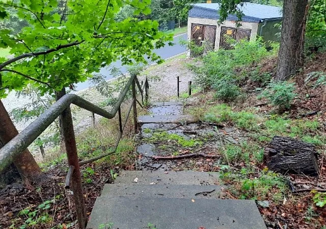 Weg aus dem Wald