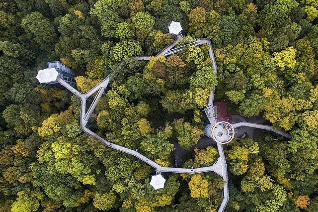 Baumkronenpfad im Nationalpark Hainich UNESCO Weltnaturerbe