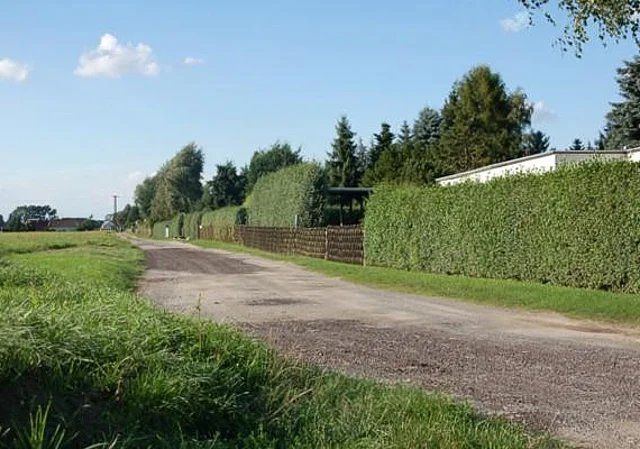 Ortsteil Schartau, Feldweg nach Nordwest