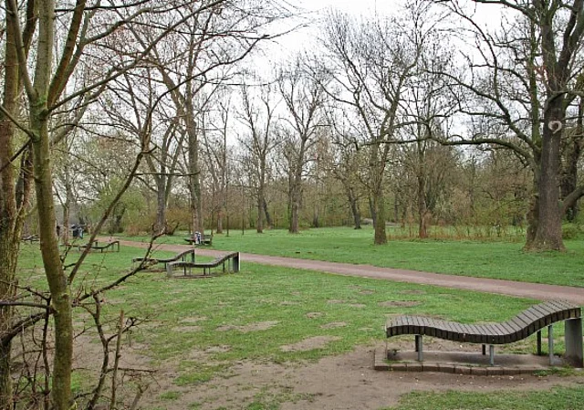 Liegewiese an der Saale